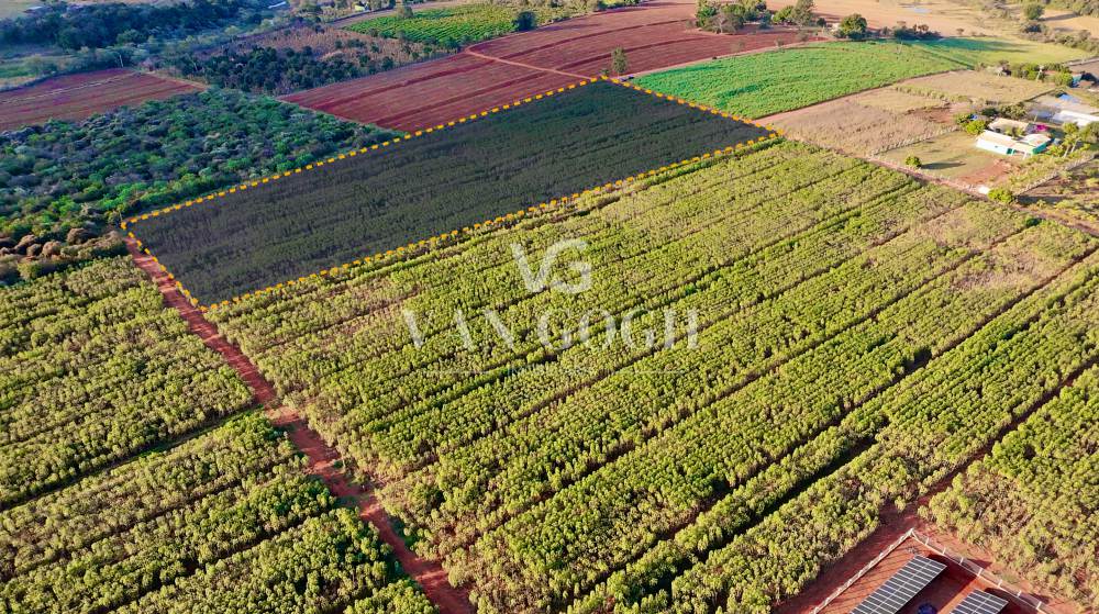 Terreno SP 107 - Km 42 Artur Nogueira 